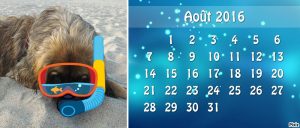 calendrier août 2016